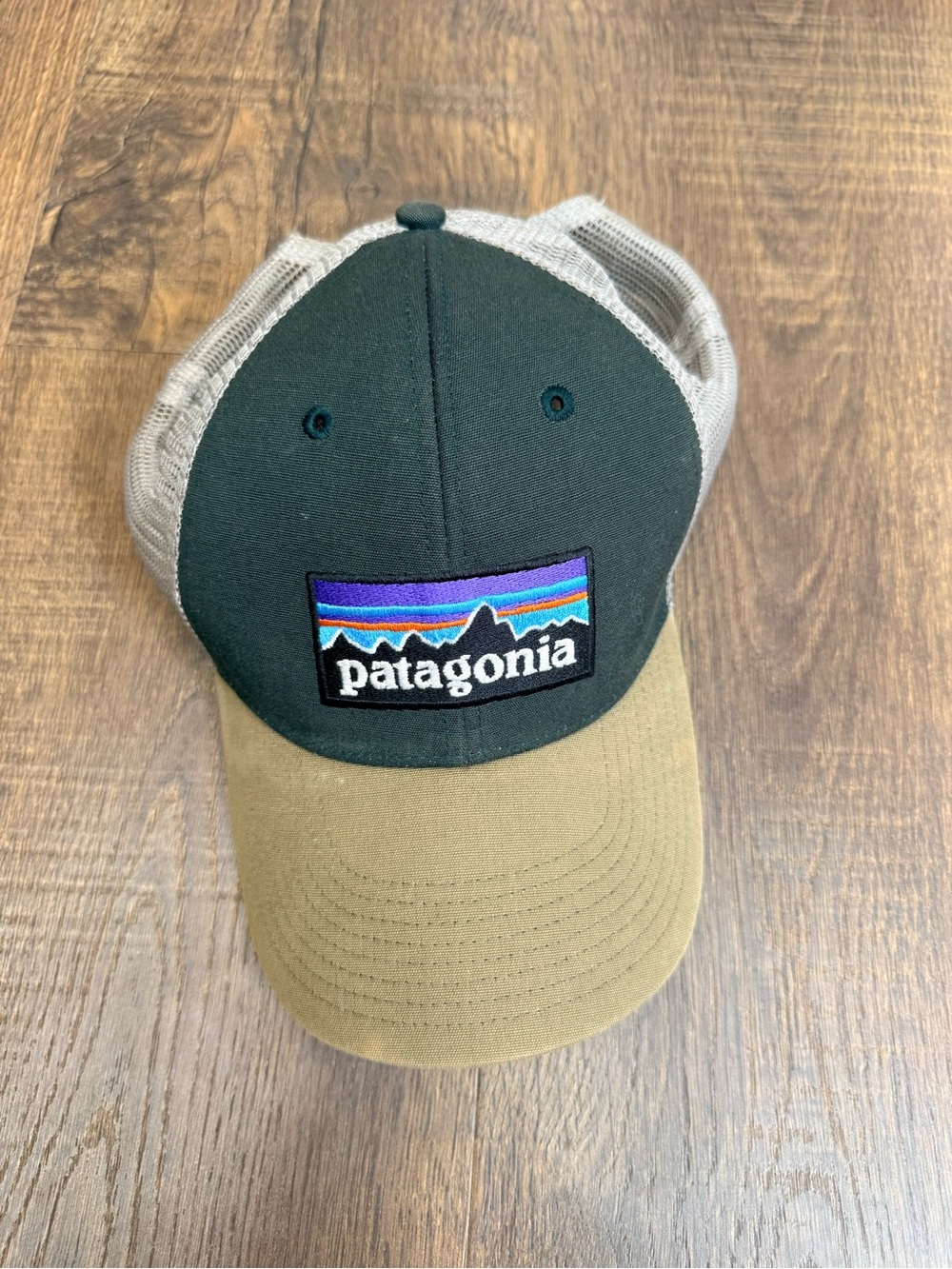 Patagonia Kids Dark Green & Tan Mesh Trucker Hat